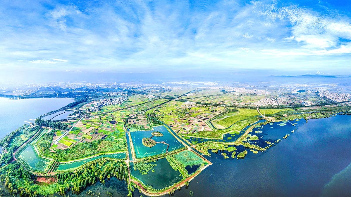 星云湖南岸濕地、湖濱帶提質(zhì)改造工程