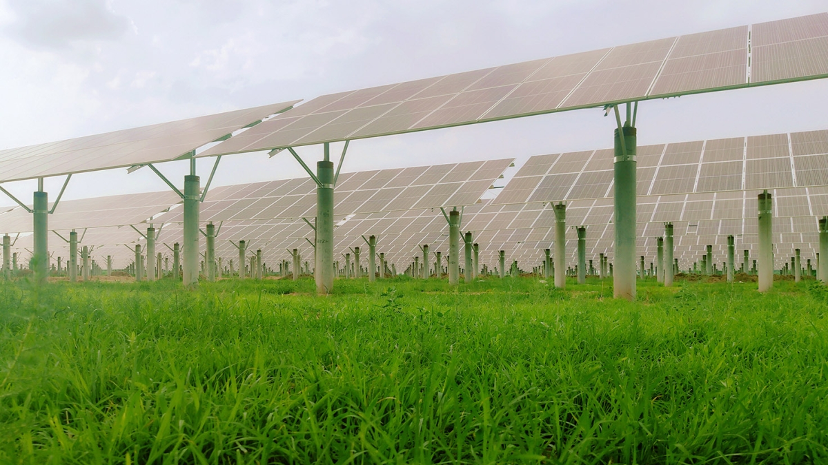 河北潔源30MW農(nóng)光互補(bǔ)光伏項目30MW