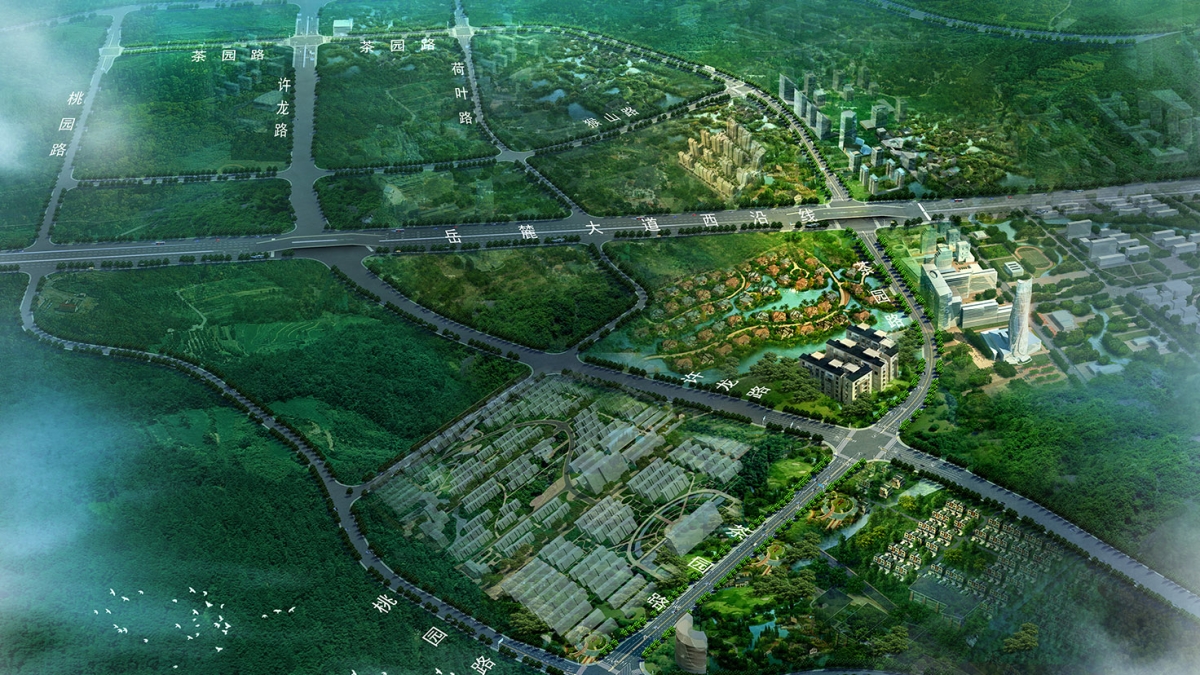 桐寧路、茶園路道路工程
